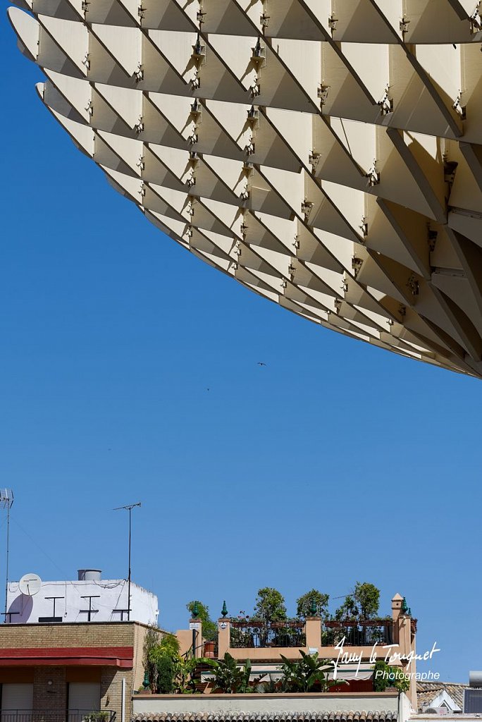 Seville-0215.jpg