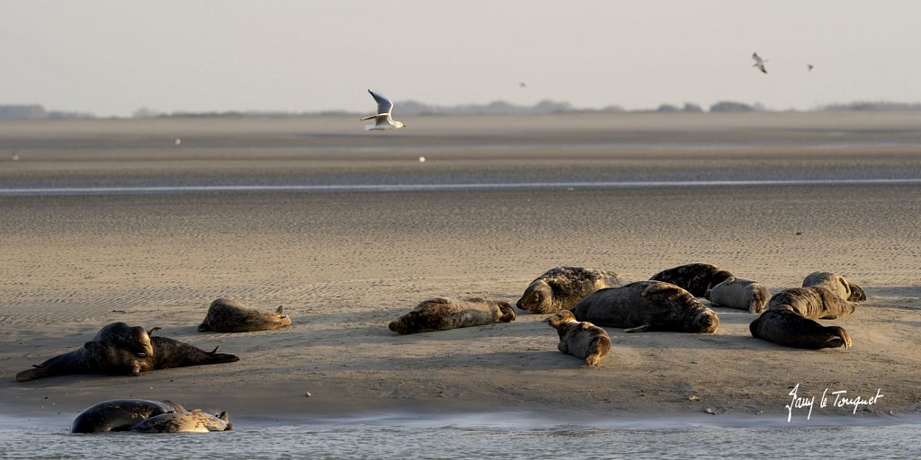 Berck-sur-Mer-0816.jpg