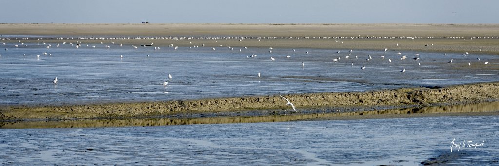 Le-Touquet-0823.jpg