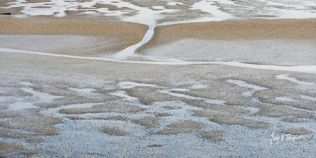 Le-Touquet-0909.jpg