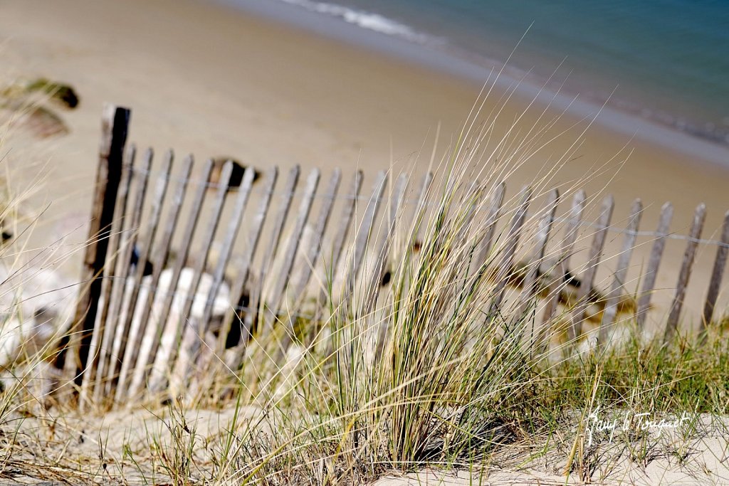 Le-Touquet-0635.jpg