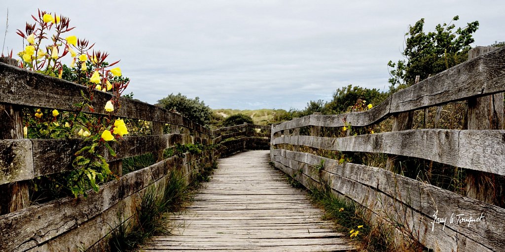 Le-Touquet-2044.jpg